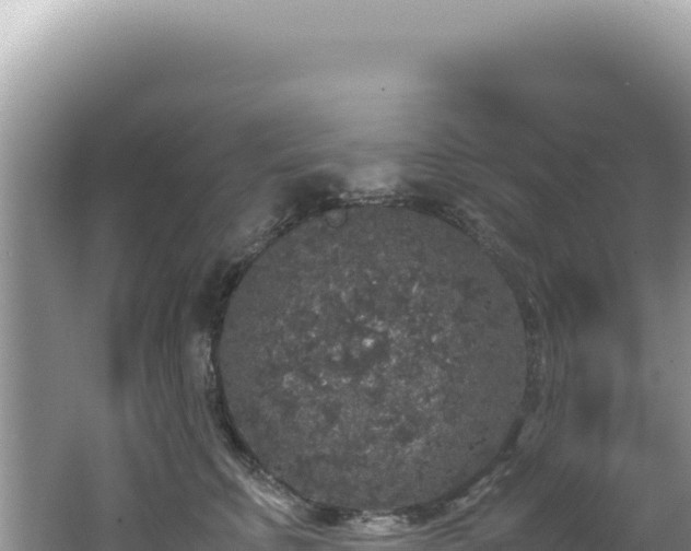 X0000062150711200512121307