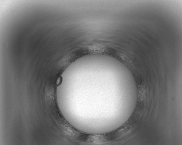 X0000062150713200512121307