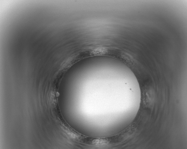 X0000062150714200512121307