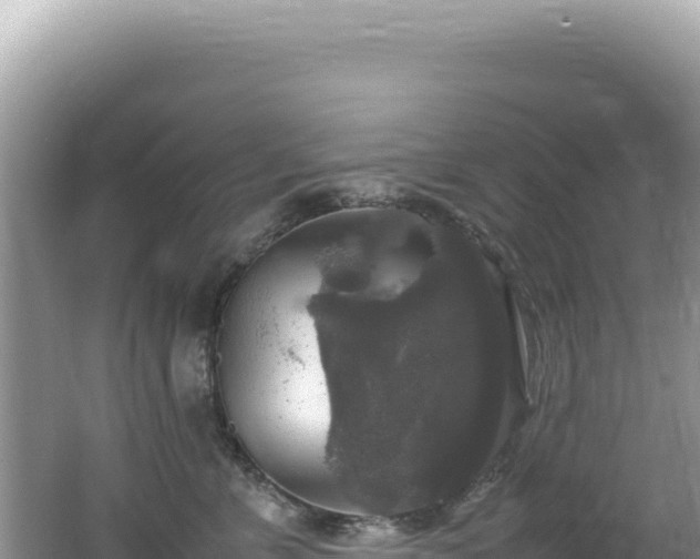 X0000062150715200512121307