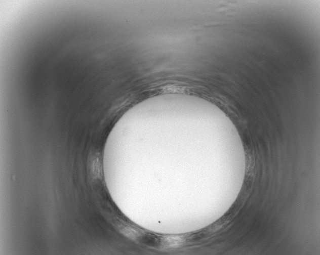 X0000062150717200512121307