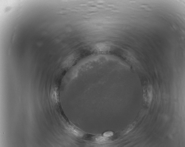 X0000062150718200512121307