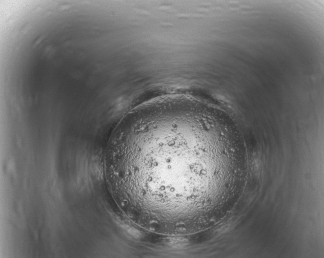 X0000062150719200512121307