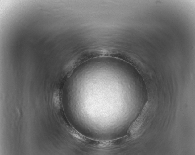 X0000062150720200512121307