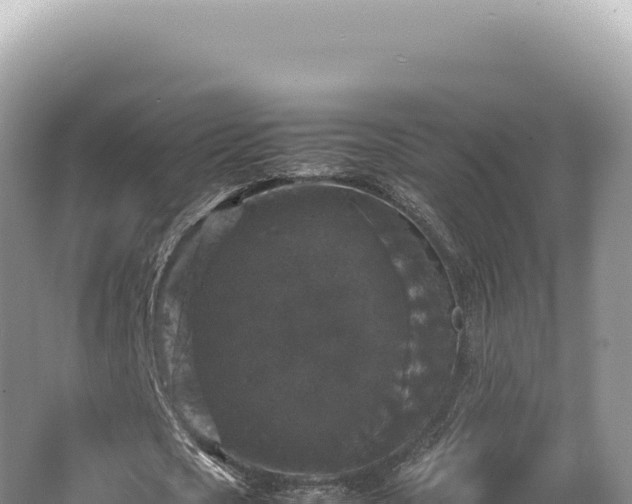 X0000062150721200512121306