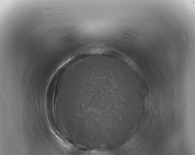 X0000062150722200512121306