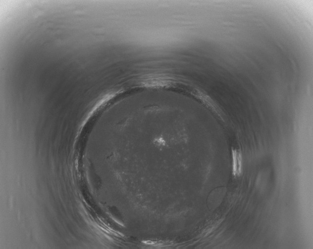 X0000062150723200512121307