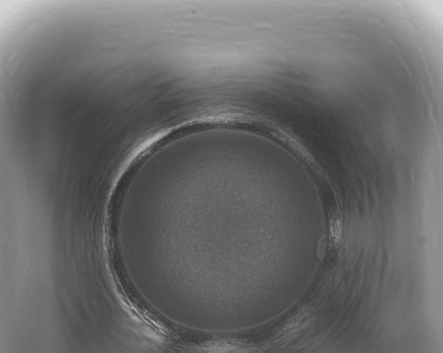 X0000062150724200512121307