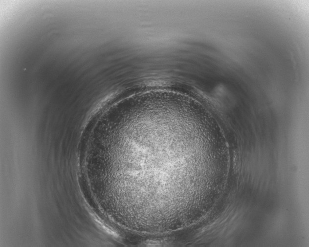 X0000062150725200512121307