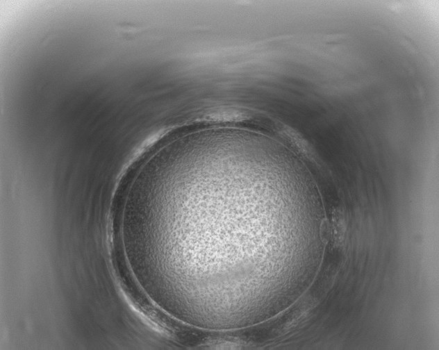 X0000062150726200512121307