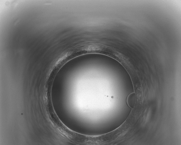 X0000062150727200512121307