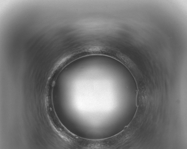 X0000062150728200512121307