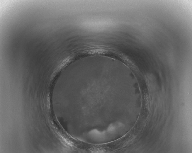 X0000062150729200512121307