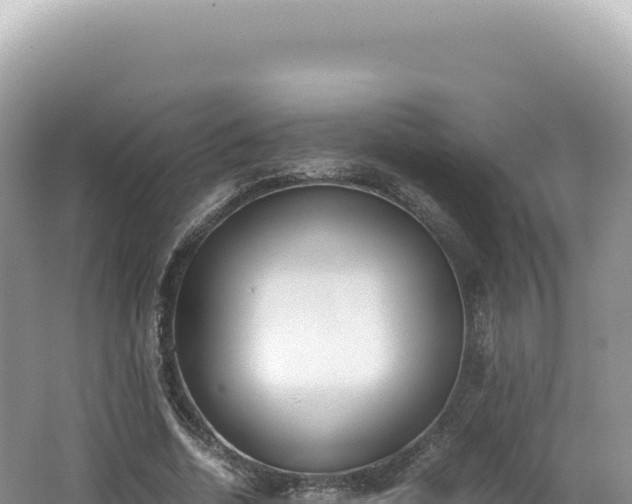 X0000062150730200512121307