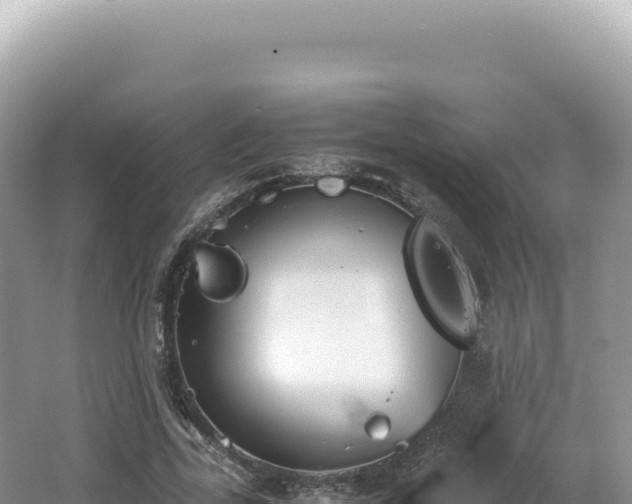 X0000062150731200512121307