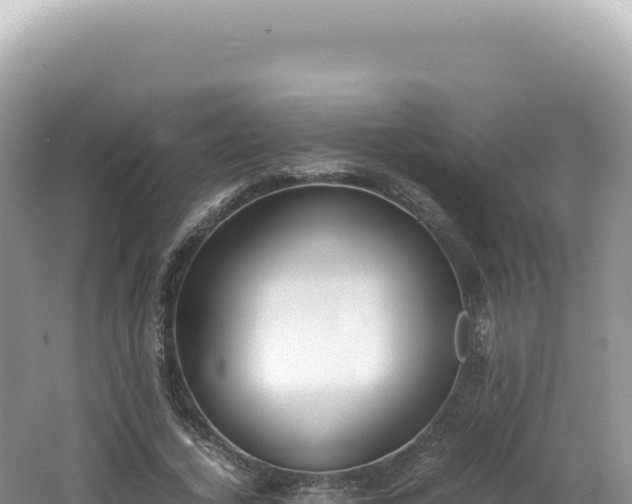 X0000062150732200512121307