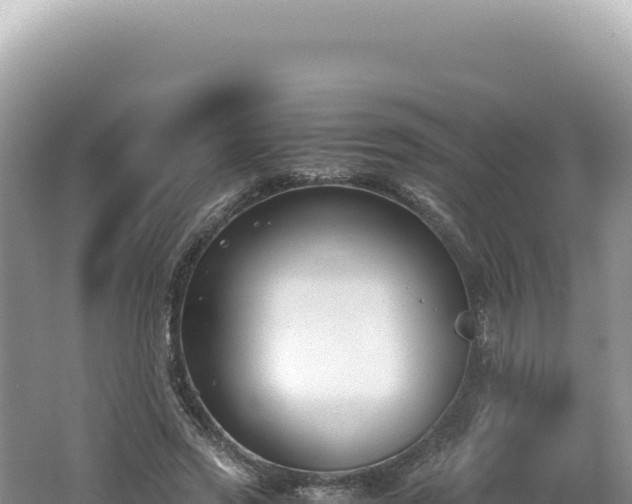 X0000062150733200512121307