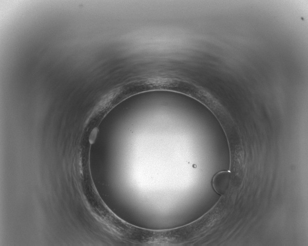 X0000062150734200512121307