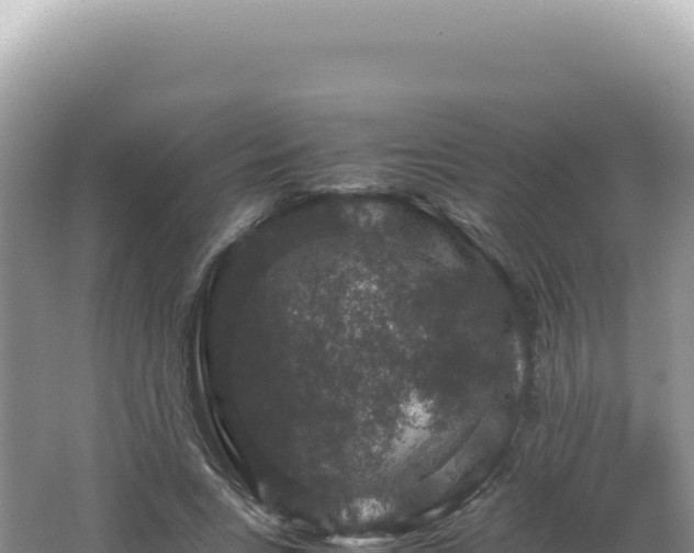 X0000062150735200512121307