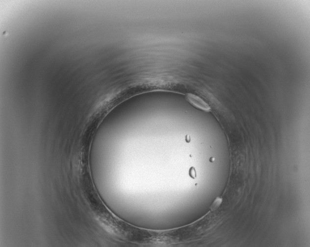 X0000062150736200512121307