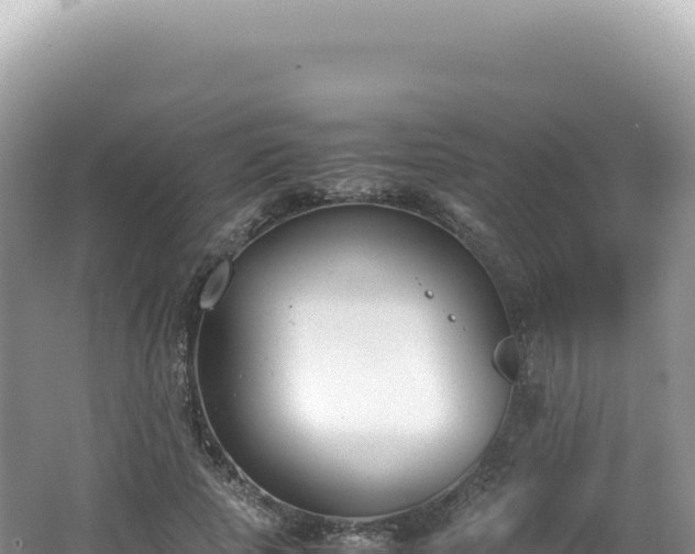 X0000062150737200512121307