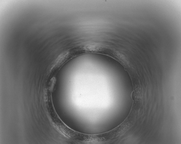 X0000062150738200512121307