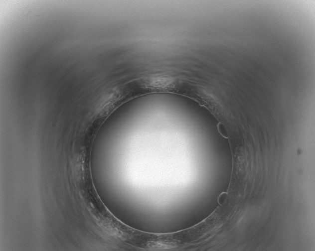 X0000062150739200512121307