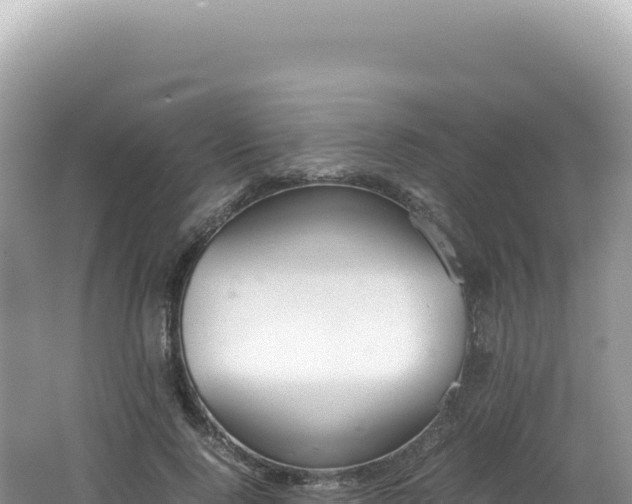 X0000062150740200512121307