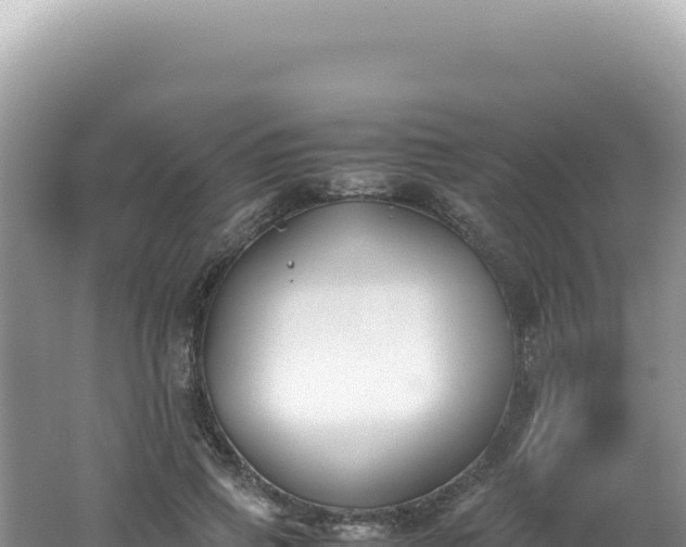 X0000062150741200512121307