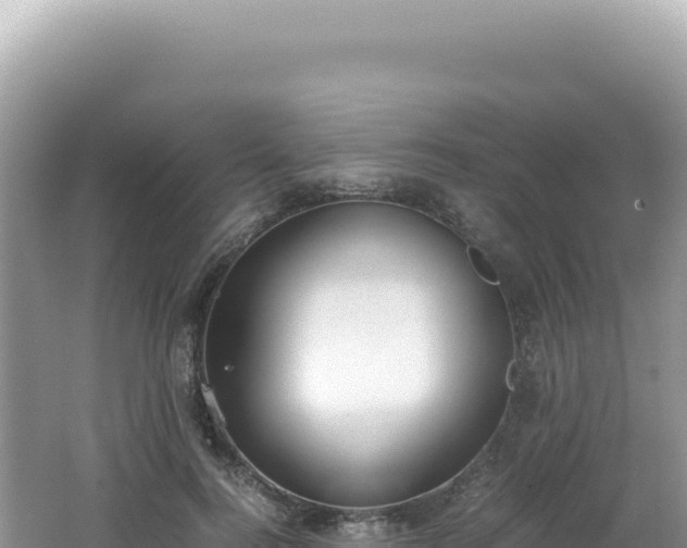 X0000062150744200512121307