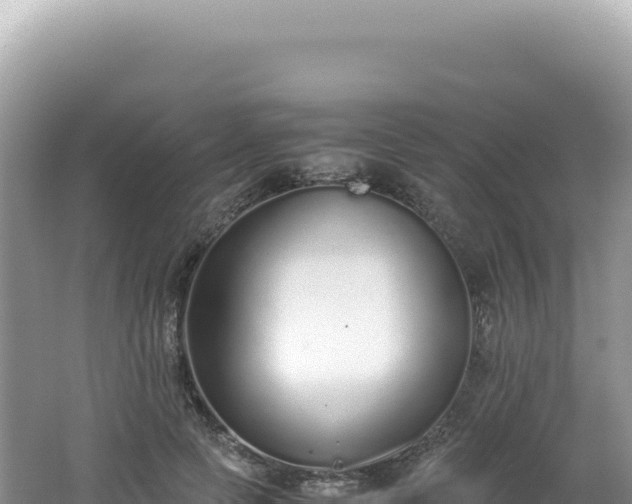 X0000062150745200512121307