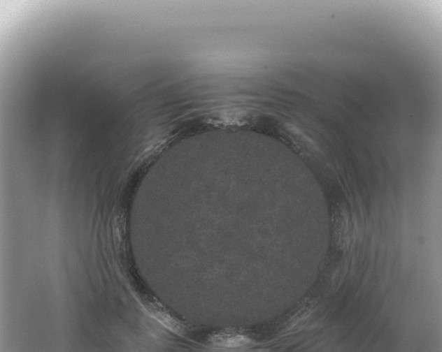 X0000062150747200512121307