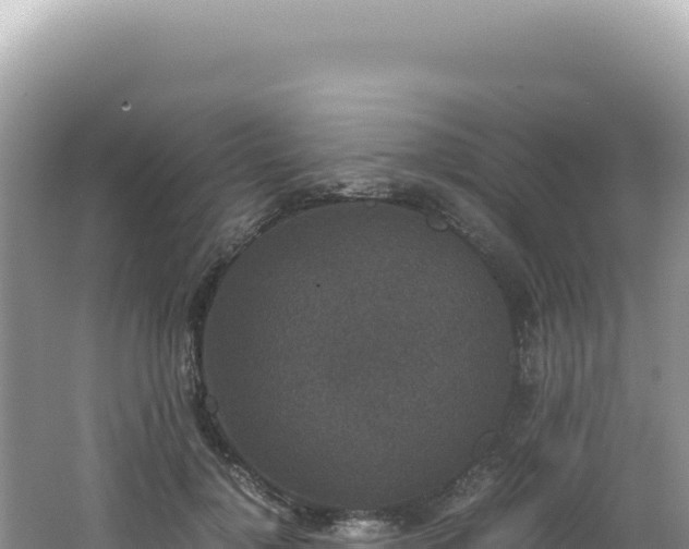 X0000062150748200512121307