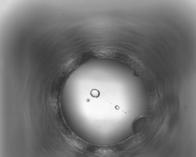 X0000062150749200512121307