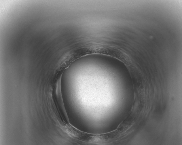 X0000062150750200512121307