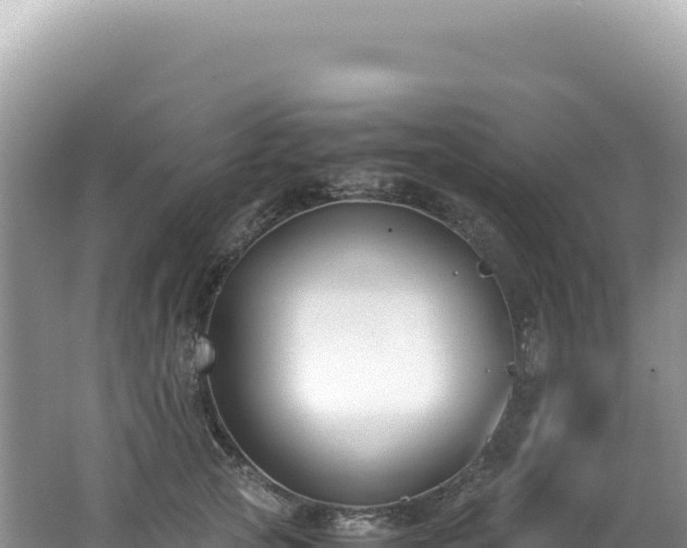 X0000062150753200512121307