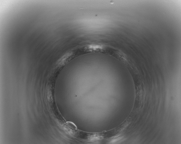 X0000062150754200512121307