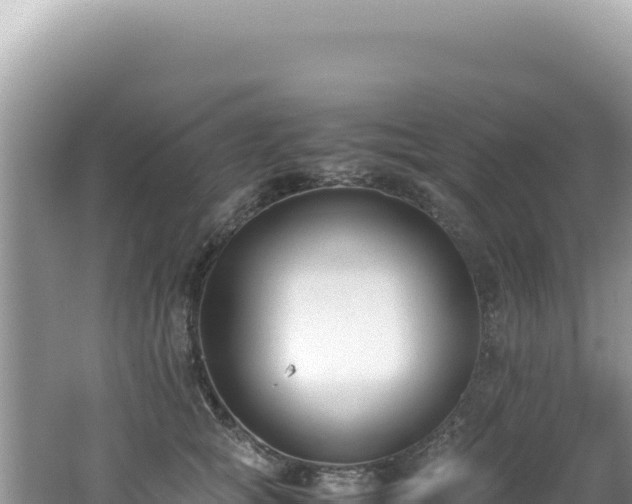 X0000062150757200512121307