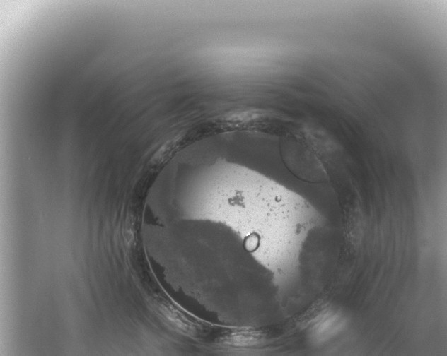 X0000062150758200512121307