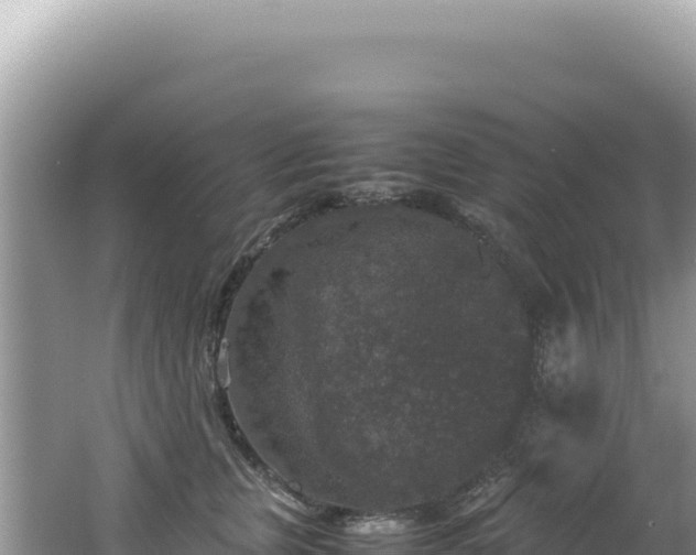 X0000062150759200512121307