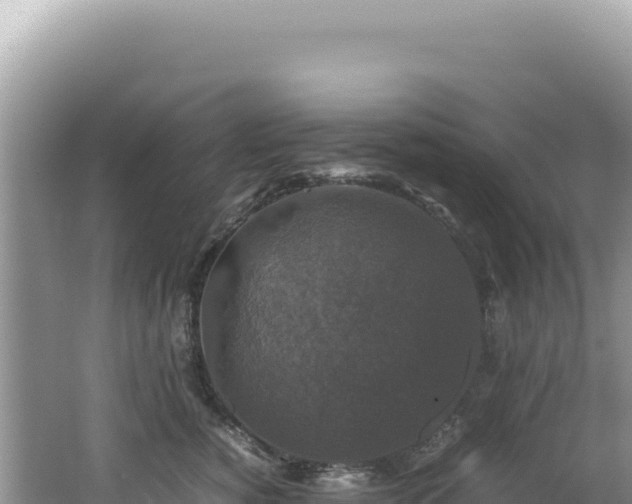 X0000062150760200512121307