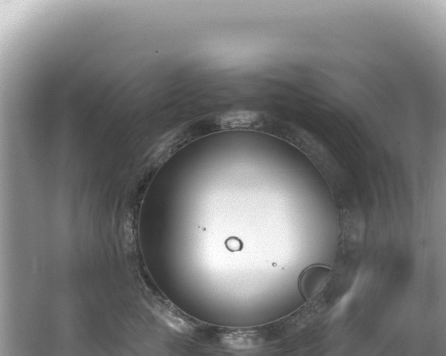 X0000062150761200512121307