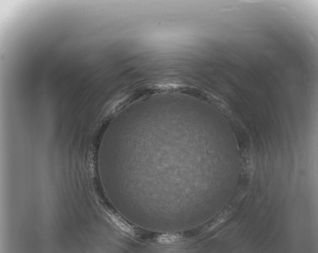 X0000062150762200512121307