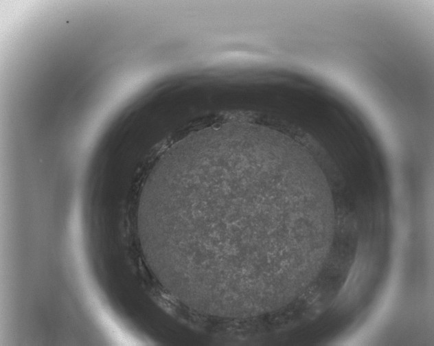 X0000062150765200512121307