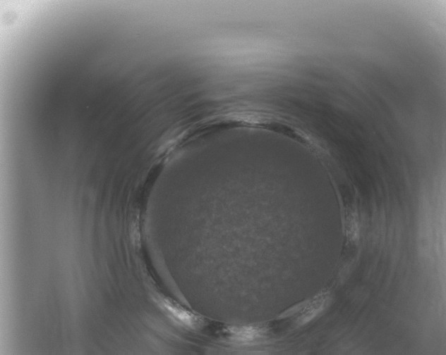 X0000062150766200512121307