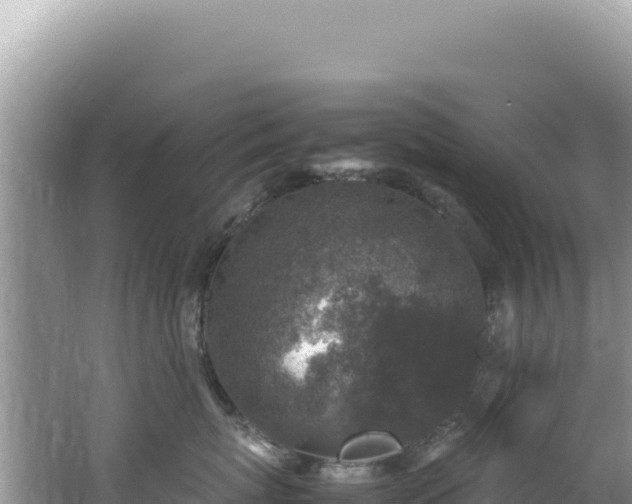 X0000062150767200512121307