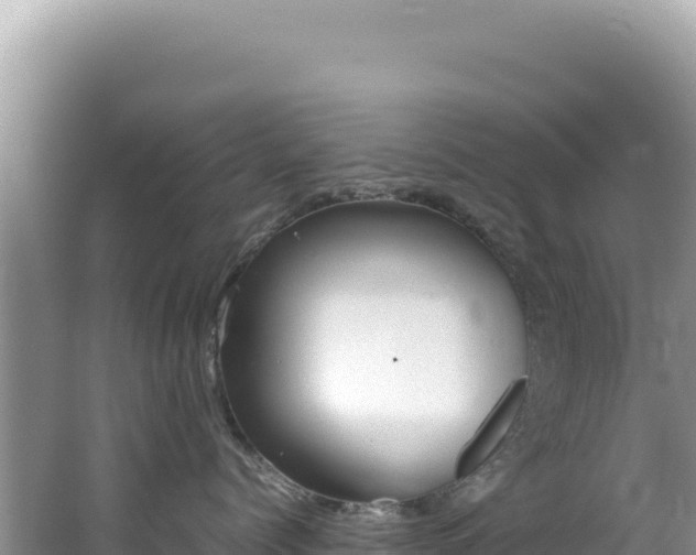 X0000062150768200512121307