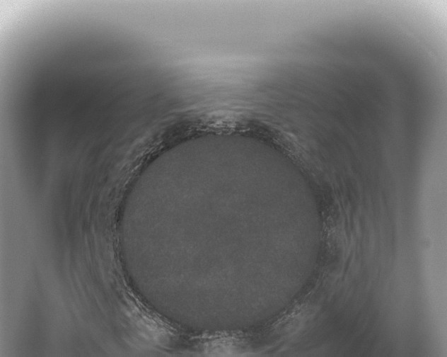 X0000062150769200512121306