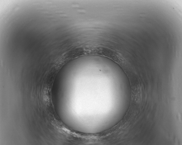 X0000062150770200512121306