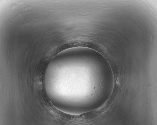 X0000062150771200512121306